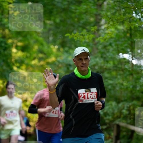 28.09.2025 - 33. Volkslauf durch das schöne Alstertal Patografie http://msf.ph/oto/8966357 28.09.2025 09:36:49 Laufen 274, 2166 meine-sportfotos.de