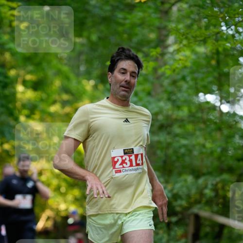 28.09.2025 - 33. Volkslauf durch das schöne Alstertal Patografie http://msf.ph/oto/8966359 28.09.2025 09:36:51 Laufen 2314 meine-sportfotos.de