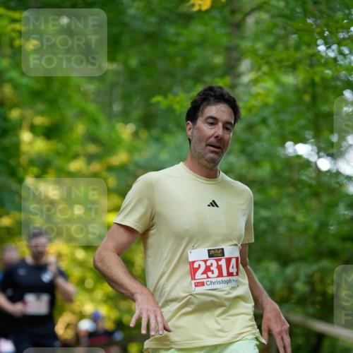 28.09.2025 - 33. Volkslauf durch das schöne Alstertal Patografie http://msf.ph/oto/8966360 28.09.2025 09:36:51 Laufen 2314 meine-sportfotos.de
