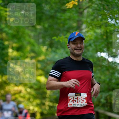 28.09.2025 - 33. Volkslauf durch das schöne Alstertal Patografie http://msf.ph/oto/8966364 28.09.2025 09:36:56 Laufen 2585 meine-sportfotos.de