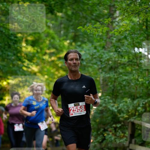 28.09.2025 - 33. Volkslauf durch das schöne Alstertal Patografie http://msf.ph/oto/8966372 28.09.2025 09:37:10 Laufen 2558 meine-sportfotos.de