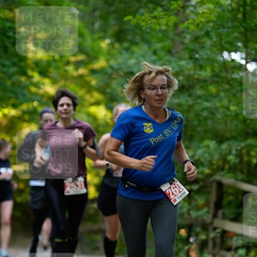 28.09.2025 - 33. Volkslauf durch das schöne Alstertal Patografie http://msf.ph/oto/8966374 28.09.2025 09:37:11 Laufen 260 meine-sportfotos.de