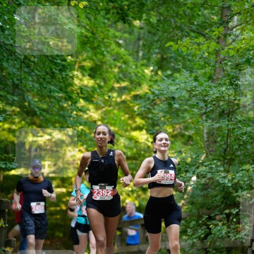 28.09.2025 - 33. Volkslauf durch das schöne Alstertal Patografie http://msf.ph/oto/8966377 28.09.2025 09:37:28 Laufen 2450, 2392, 994 meine-sportfotos.de