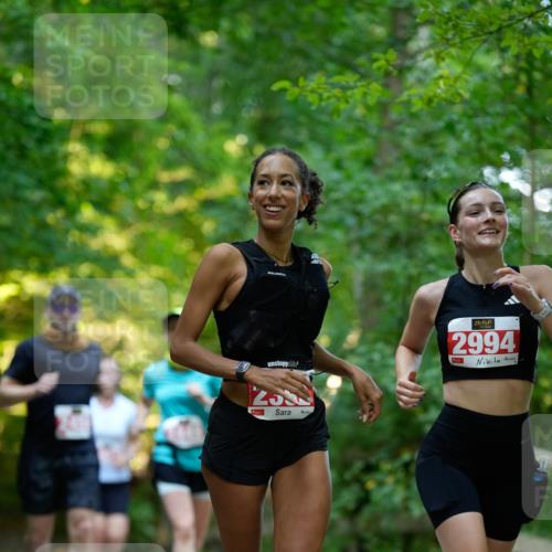28.09.2025 - 33. Volkslauf durch das schöne Alstertal Patografie http://msf.ph/oto/8966378 28.09.2025 09:37:29 Laufen 2994, 2392 meine-sportfotos.de