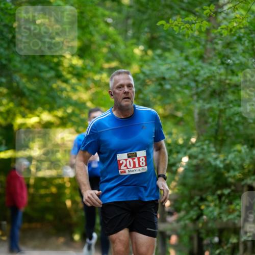 28.09.2025 - 33. Volkslauf durch das schöne Alstertal Patografie http://msf.ph/oto/8966383 28.09.2025 09:37:32 Laufen 2018 meine-sportfotos.de