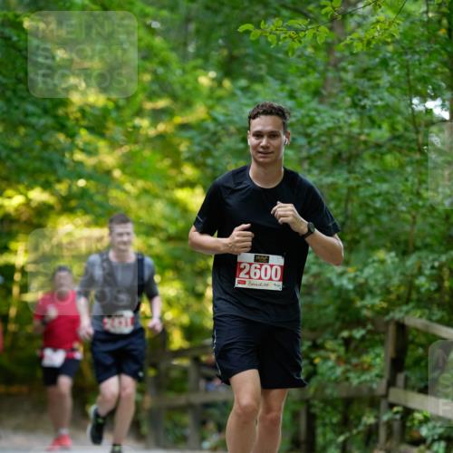 28.09.2025 - 33. Volkslauf durch das schöne Alstertal Patografie http://msf.ph/oto/8966387 28.09.2025 09:37:38 Laufen 2600 meine-sportfotos.de