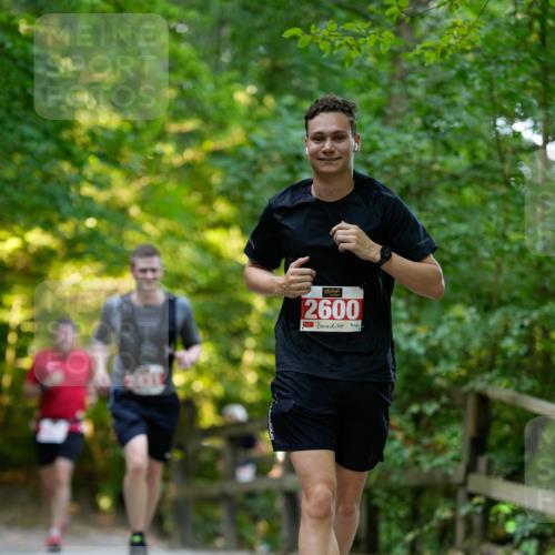 28.09.2025 - 33. Volkslauf durch das schöne Alstertal Patografie http://msf.ph/oto/8966389 28.09.2025 09:37:38 Laufen 2600 meine-sportfotos.de