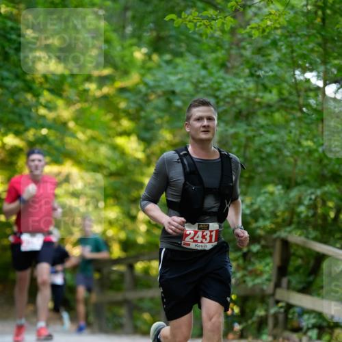 28.09.2025 - 33. Volkslauf durch das schöne Alstertal Patografie http://msf.ph/oto/8966390 28.09.2025 09:37:39 Laufen 2431 meine-sportfotos.de