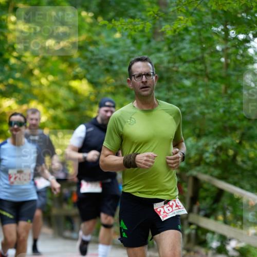 28.09.2025 - 33. Volkslauf durch das schöne Alstertal Patografie http://msf.ph/oto/8966399 28.09.2025 09:37:57 Laufen 2629 meine-sportfotos.de