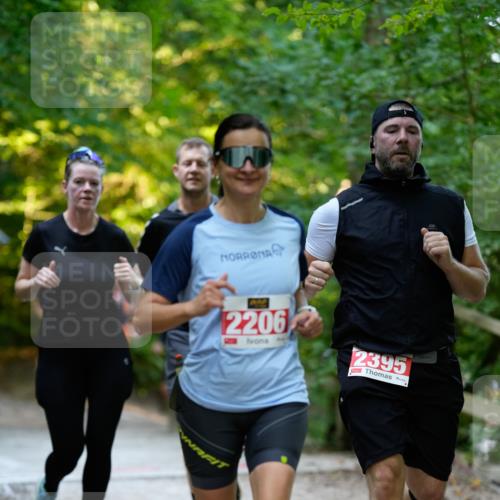 28.09.2025 - 33. Volkslauf durch das schöne Alstertal Patografie http://msf.ph/oto/8966400 28.09.2025 09:37:58 Laufen 2206, 2395 meine-sportfotos.de