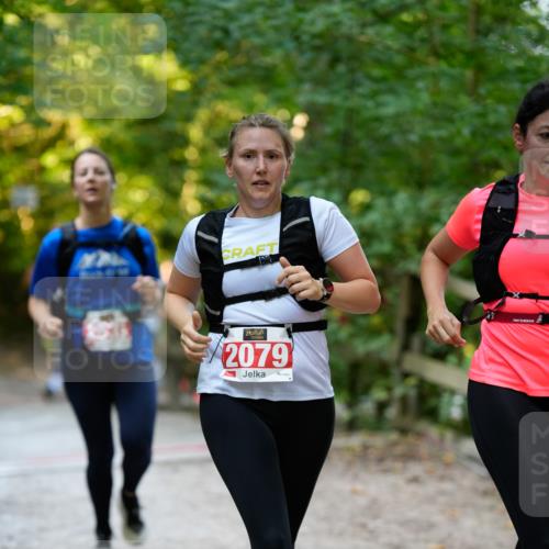 28.09.2025 - 33. Volkslauf durch das schöne Alstertal Patografie http://msf.ph/oto/8966403 28.09.2025 09:38:05 Laufen 2079 meine-sportfotos.de