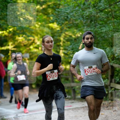 28.09.2025 - 33. Volkslauf durch das schöne Alstertal Patografie http://msf.ph/oto/8966404 28.09.2025 09:38:09 Laufen 2055, 205 meine-sportfotos.de