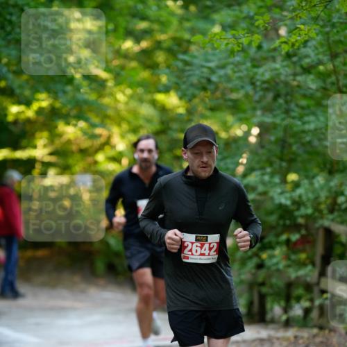 28.09.2025 - 33. Volkslauf durch das schöne Alstertal Patografie http://msf.ph/oto/8966405 28.09.2025 09:38:17 Laufen 2642 meine-sportfotos.de