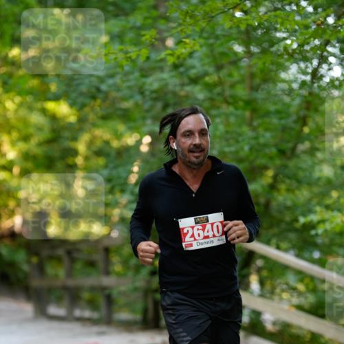 28.09.2025 - 33. Volkslauf durch das schöne Alstertal Patografie http://msf.ph/oto/8966408 28.09.2025 09:38:19 Laufen 2640 meine-sportfotos.de
