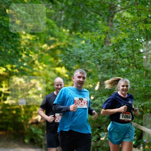 28.09.2025 - 33. Volkslauf durch das schöne Alstertal Patografie http://msf.ph/oto/8966409 28.09.2025 09:38:26 Laufen 20, 2042, 1068 meine-sportfotos.de