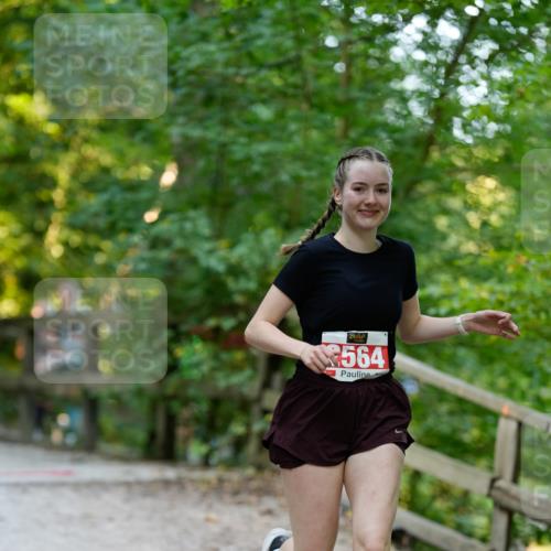 28.09.2025 - 33. Volkslauf durch das schöne Alstertal Patografie http://msf.ph/oto/8966410 28.09.2025 09:38:31 Laufen 2564 meine-sportfotos.de