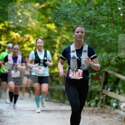 28.09.2025 - 33. Volkslauf durch das schöne Alstertal Patografie http://msf.ph/oto/8966412 28.09.2025 09:38:35 Laufen 2487 meine-sportfotos.de