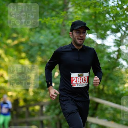 28.09.2025 - 33. Volkslauf durch das schöne Alstertal Patografie http://msf.ph/oto/8966415 28.09.2025 09:38:43 Laufen 2603 meine-sportfotos.de
