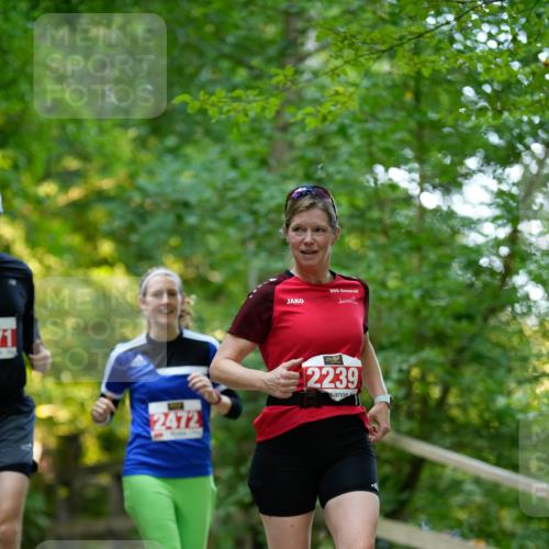 28.09.2025 - 33. Volkslauf durch das schöne Alstertal Patografie http://msf.ph/oto/8966417 28.09.2025 09:38:46 Laufen 2472, 2239 meine-sportfotos.de
