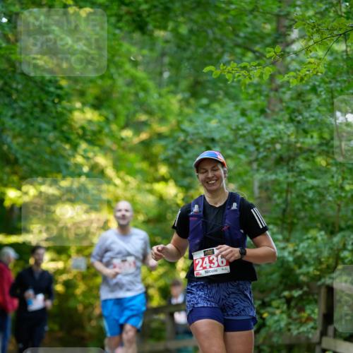 28.09.2025 - 33. Volkslauf durch das schöne Alstertal Patografie http://msf.ph/oto/8966419 28.09.2025 09:38:56 Laufen 2436 meine-sportfotos.de