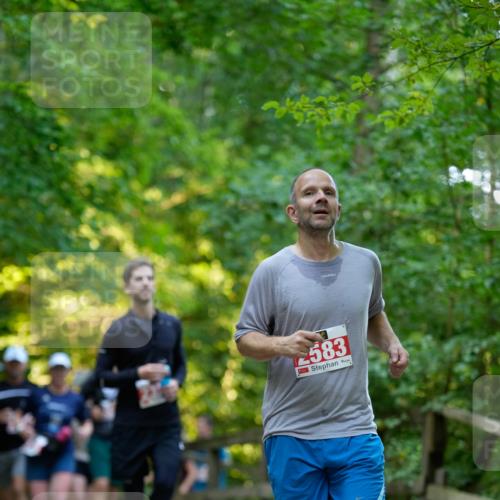 28.09.2025 - 33. Volkslauf durch das schöne Alstertal Patografie http://msf.ph/oto/8966421 28.09.2025 09:38:59 Laufen 583 meine-sportfotos.de
