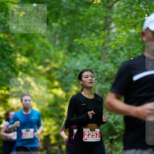 28.09.2025 - 33. Volkslauf durch das schöne Alstertal Patografie http://msf.ph/oto/8966425 28.09.2025 09:39:04 Laufen 2257 meine-sportfotos.de