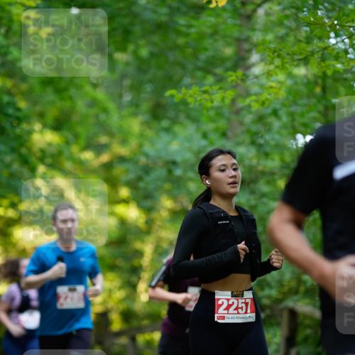 28.09.2025 - 33. Volkslauf durch das schöne Alstertal Patografie http://msf.ph/oto/8966427 28.09.2025 09:39:04 Laufen 2257 meine-sportfotos.de