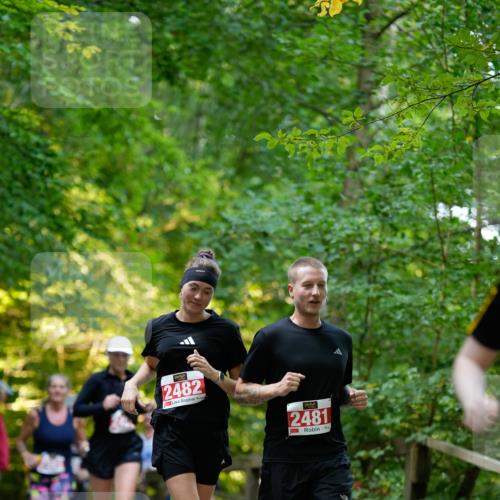 28.09.2025 - 33. Volkslauf durch das schöne Alstertal Patografie http://msf.ph/oto/8966438 28.09.2025 09:39:37 Laufen 2482, 2481 meine-sportfotos.de