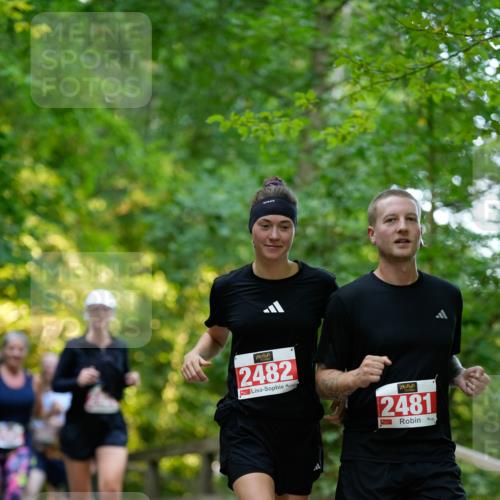 28.09.2025 - 33. Volkslauf durch das schöne Alstertal Patografie http://msf.ph/oto/8966440 28.09.2025 09:39:38 Laufen 2482, 2481 meine-sportfotos.de