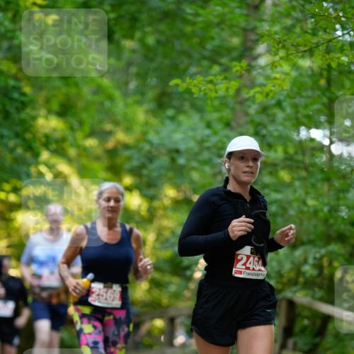 28.09.2025 - 33. Volkslauf durch das schöne Alstertal Patografie http://msf.ph/oto/8966441 28.09.2025 09:39:39 Laufen 2569, 2464 meine-sportfotos.de