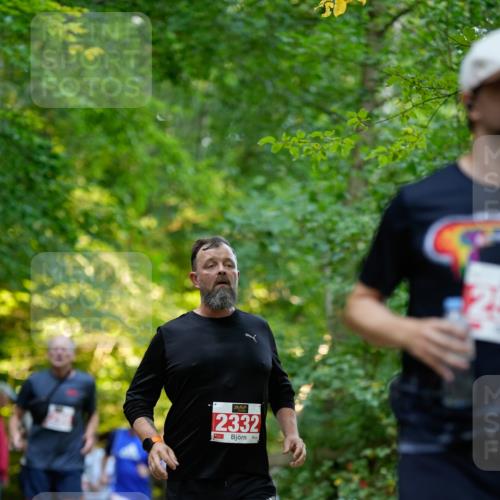 28.09.2025 - 33. Volkslauf durch das schöne Alstertal Patografie http://msf.ph/oto/8966445 28.09.2025 09:39:43 Laufen 2332 meine-sportfotos.de