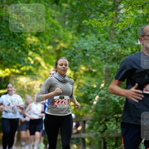 28.09.2025 - 33. Volkslauf durch das schöne Alstertal Patografie http://msf.ph/oto/8966447 28.09.2025 09:39:45 Laufen 2226 meine-sportfotos.de