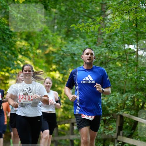 28.09.2025 - 33. Volkslauf durch das schöne Alstertal Patografie http://msf.ph/oto/8966448 28.09.2025 09:39:47 Laufen 2291 meine-sportfotos.de