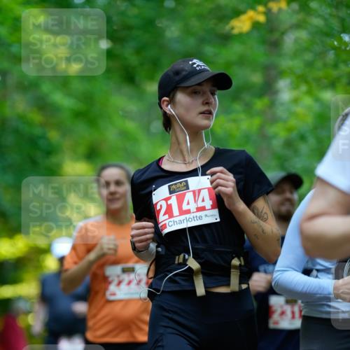 28.09.2025 - 33. Volkslauf durch das schöne Alstertal Patografie http://msf.ph/oto/8966452 28.09.2025 09:39:50 Laufen 2144 meine-sportfotos.de