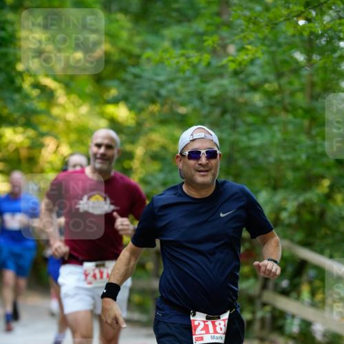 28.09.2025 - 33. Volkslauf durch das schöne Alstertal Patografie http://msf.ph/oto/8966454 28.09.2025 09:39:57 Laufen 217, 218 meine-sportfotos.de