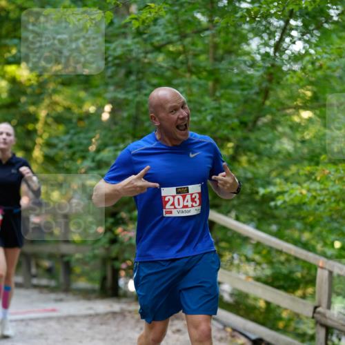 28.09.2025 - 33. Volkslauf durch das schöne Alstertal Patografie http://msf.ph/oto/8966459 28.09.2025 09:40:00 Laufen 2043 meine-sportfotos.de