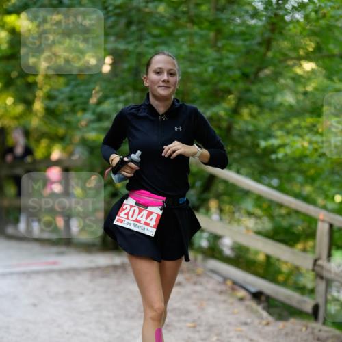 28.09.2025 - 33. Volkslauf durch das schöne Alstertal Patografie http://msf.ph/oto/8966460 28.09.2025 09:40:01 Laufen 2044 meine-sportfotos.de