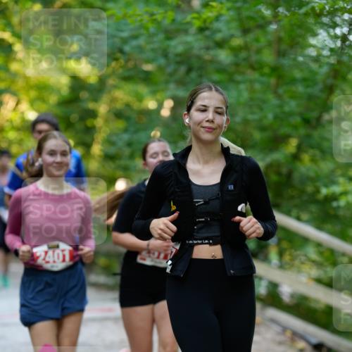 28.09.2025 - 33. Volkslauf durch das schöne Alstertal Patografie http://msf.ph/oto/8966463 28.09.2025 09:40:08 Laufen 2401 meine-sportfotos.de