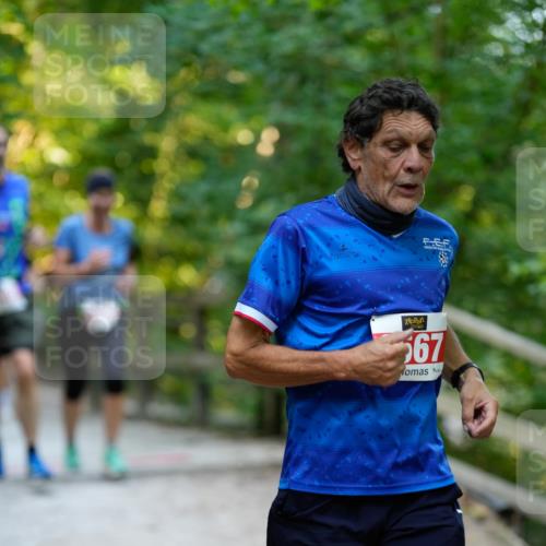 28.09.2025 - 33. Volkslauf durch das schöne Alstertal Patografie http://msf.ph/oto/8966466 28.09.2025 09:40:10 Laufen 2567 meine-sportfotos.de