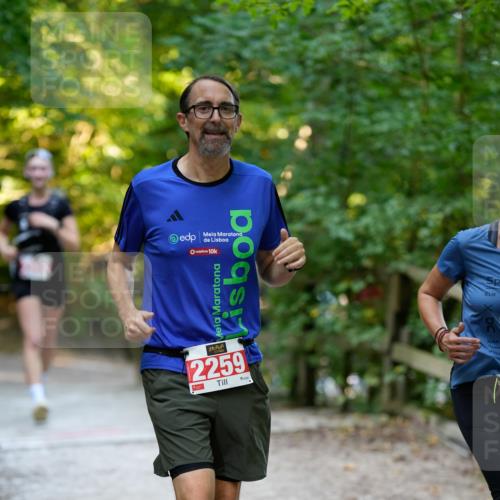 28.09.2025 - 33. Volkslauf durch das schöne Alstertal Patografie http://msf.ph/oto/8966470 28.09.2025 09:40:11 Laufen  meine-sportfotos.de