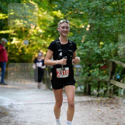 28.09.2025 - 33. Volkslauf durch das schöne Alstertal Patografie http://msf.ph/oto/8966472 28.09.2025 09:40:13 Laufen 2310 meine-sportfotos.de