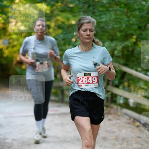 28.09.2025 - 33. Volkslauf durch das schöne Alstertal Patografie http://msf.ph/oto/8966473 28.09.2025 09:40:20 Laufen 2649 meine-sportfotos.de