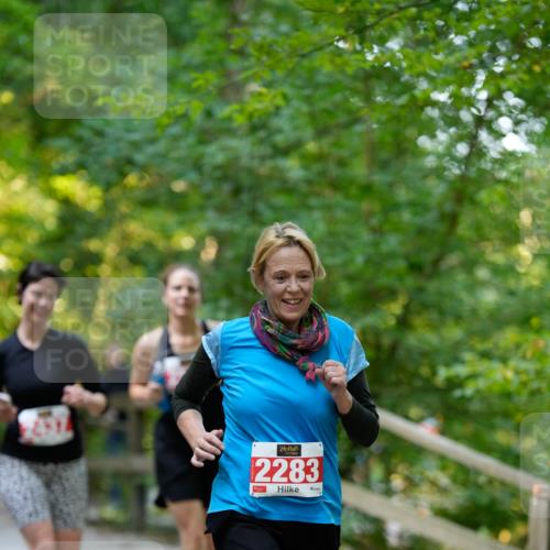28.09.2025 - 33. Volkslauf durch das schöne Alstertal Patografie http://msf.ph/oto/8966477 28.09.2025 09:40:26 Laufen 2283 meine-sportfotos.de