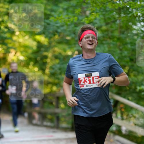28.09.2025 - 33. Volkslauf durch das schöne Alstertal Patografie http://msf.ph/oto/8966480 28.09.2025 09:40:29 Laufen 2316 meine-sportfotos.de