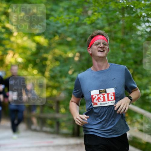 28.09.2025 - 33. Volkslauf durch das schöne Alstertal Patografie http://msf.ph/oto/8966481 28.09.2025 09:40:29 Laufen 14, 2316 meine-sportfotos.de