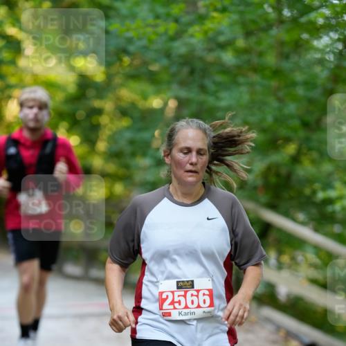 28.09.2025 - 33. Volkslauf durch das schöne Alstertal Patografie http://msf.ph/oto/8966486 28.09.2025 09:40:40 Laufen 2566 meine-sportfotos.de