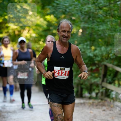 28.09.2025 - 33. Volkslauf durch das schöne Alstertal Patografie http://msf.ph/oto/8966488 28.09.2025 09:40:56 Laufen 2121 meine-sportfotos.de