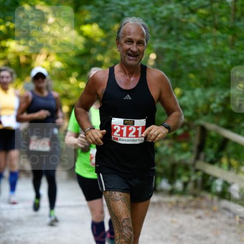 28.09.2025 - 33. Volkslauf durch das schöne Alstertal Patografie http://msf.ph/oto/8966490 28.09.2025 09:40:56 Laufen 2121 meine-sportfotos.de
