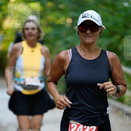 28.09.2025 - 33. Volkslauf durch das schöne Alstertal Patografie http://msf.ph/oto/8966493 28.09.2025 09:40:58 Laufen 2422 meine-sportfotos.de