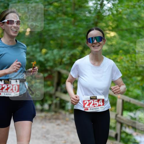 28.09.2025 - 33. Volkslauf durch das schöne Alstertal Patografie http://msf.ph/oto/8966497 28.09.2025 09:41:01 Laufen 2220, 2254 meine-sportfotos.de